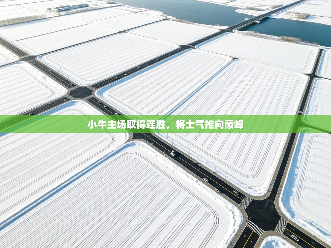 小牛主场取得连胜，将士气推向巅峰  第1张