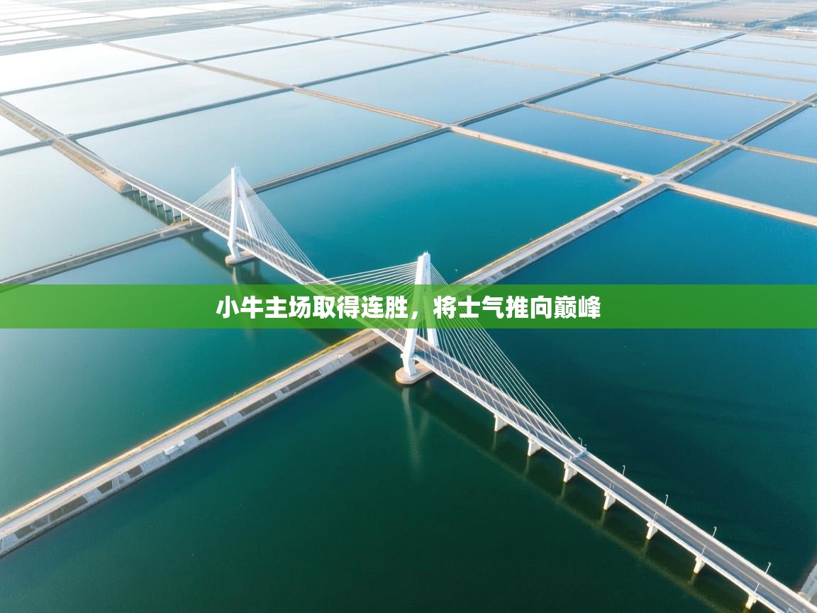 小牛主场取得连胜，将士气推向巅峰  第2张