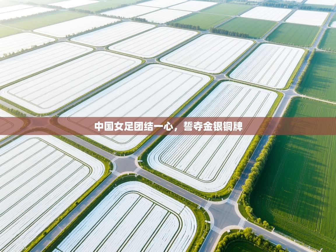 中国女足团结一心，誓夺金银铜牌  第1张