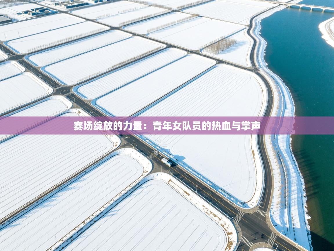 赛场绽放的力量:青年女队员的热血与掌声 第2张