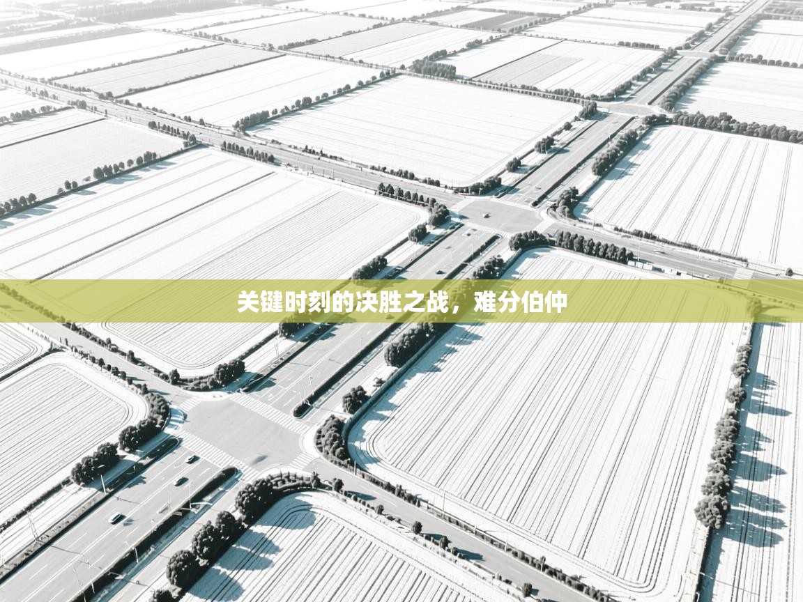 关键时刻的决胜之战，难分伯仲  第1张