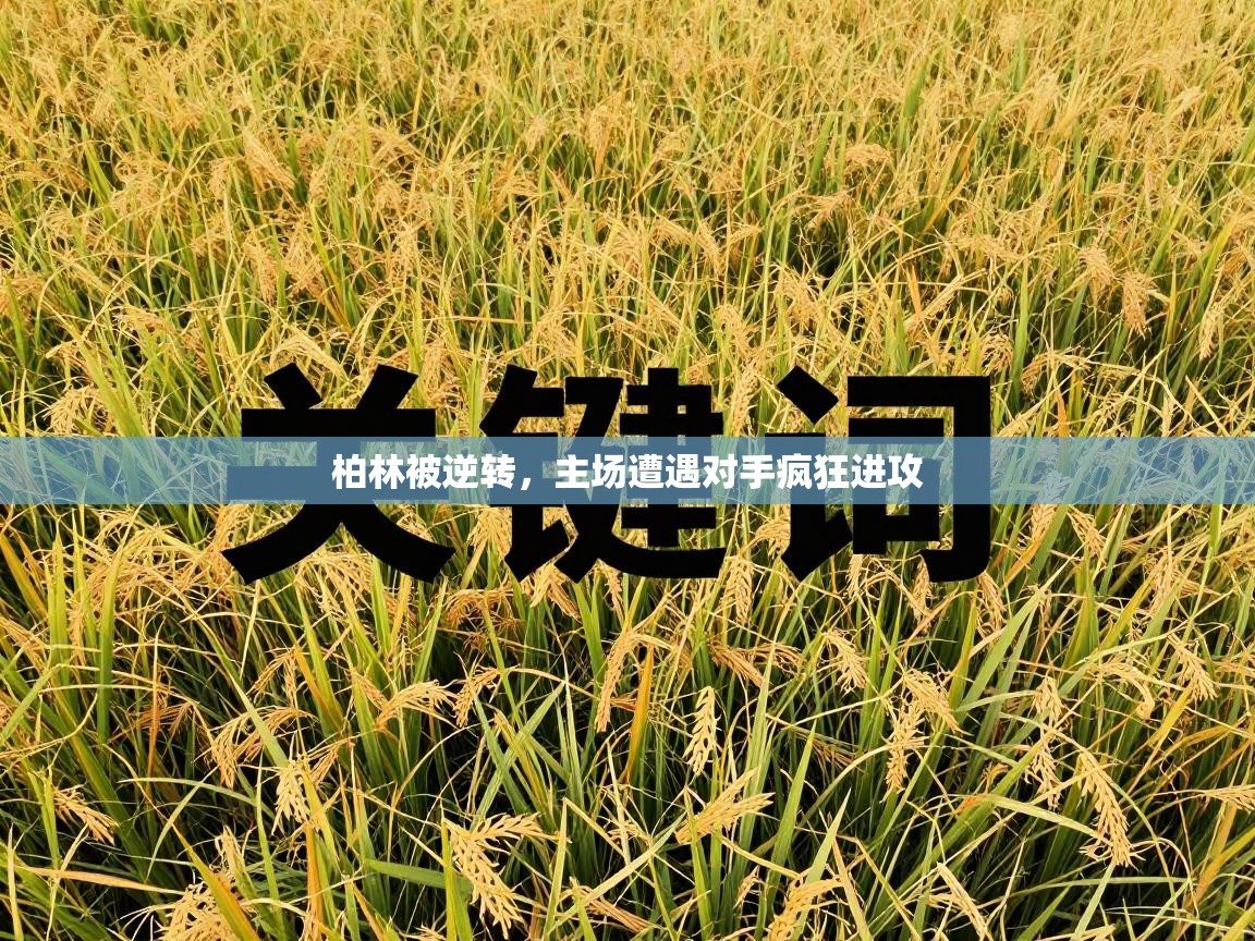 柏林被逆转，主场遭遇对手疯狂进攻  第1张
